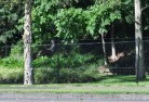 Lake Austinmesh-fencing-10.jpg; ?>